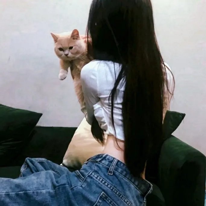 迷离劫